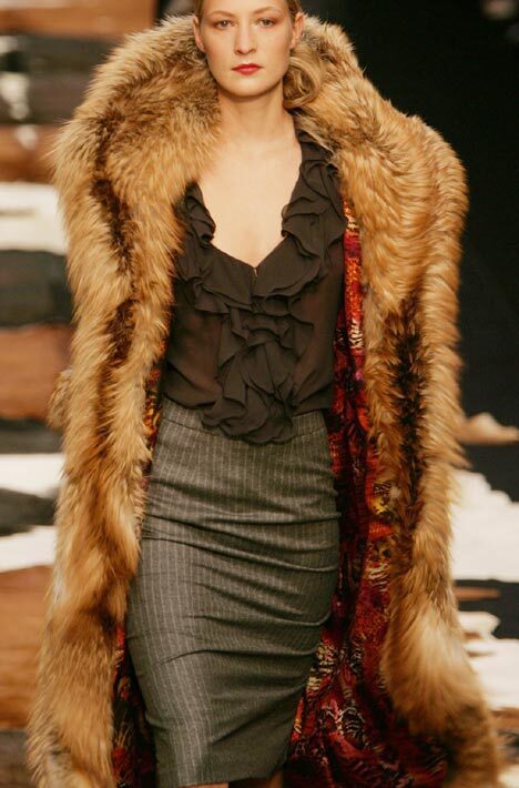 Raccoons and Wild Coyotes 2