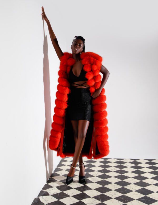 Mink Coats and Fox Fur Mutations 9 - Image 2