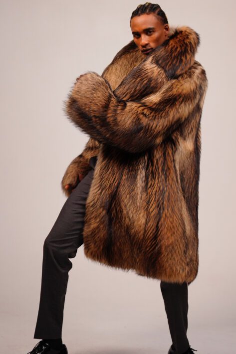 Raccoons and Wild Coyotes 6