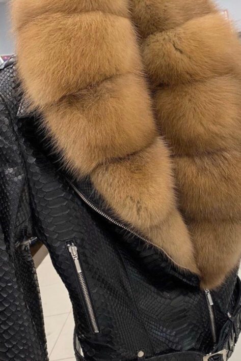 Chinchillas Martens Sables and Cat Lynx 14