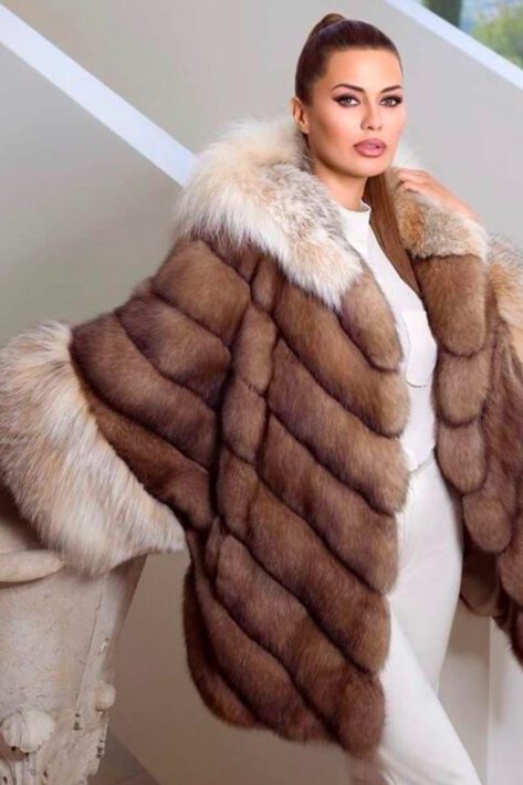 Chinchillas Martens Sables and Cat Lynx 17